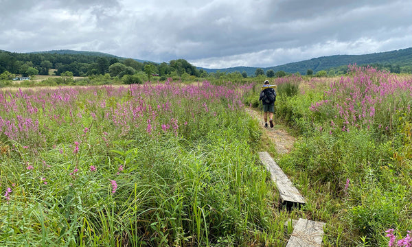 A TEST PILOT CHECKS IN FROM THE APPALACHIAN TRAIL